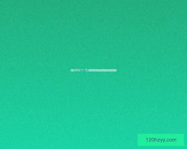 基于SAN11 TC技术的高效数据存储与传输优化方案研究